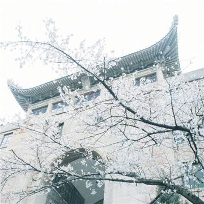 欢乐一夏，上海云间剧院暑期发起“快乐学堂”